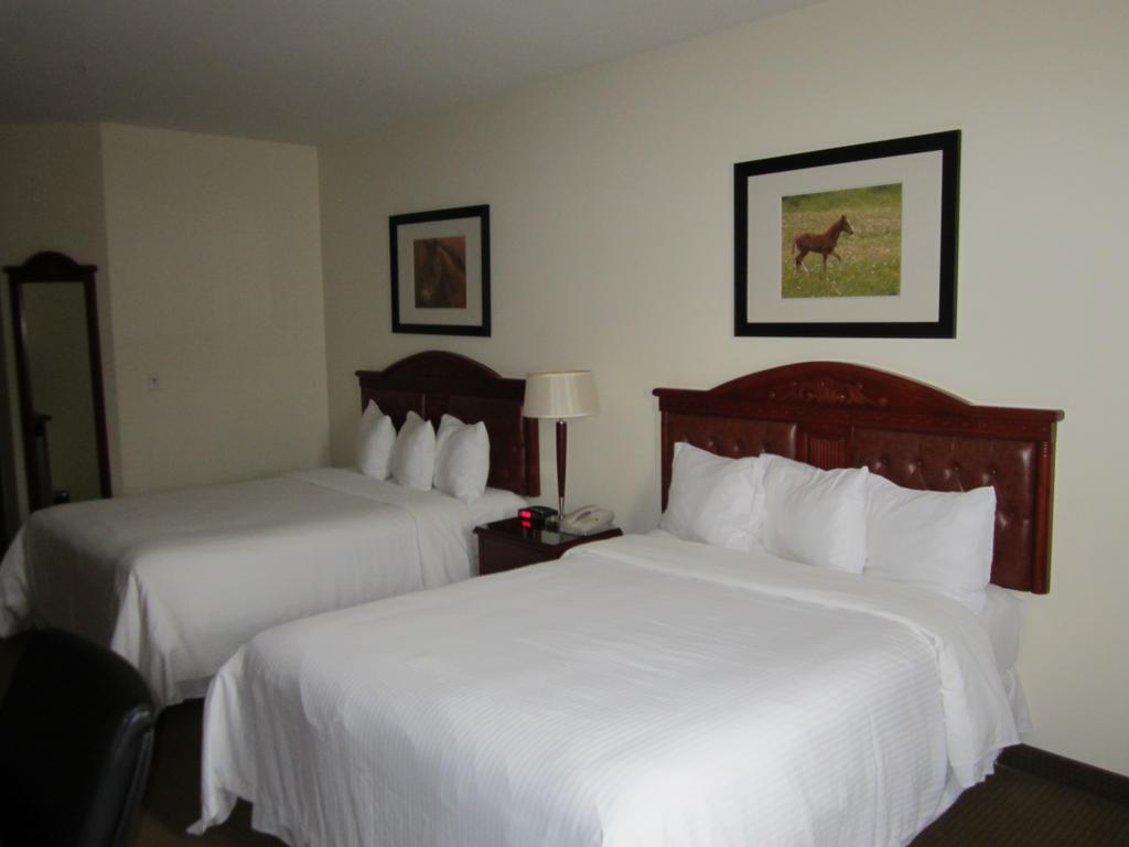 Trend Mountain Hotel & Conference Centre Tumbler Ridge Стая снимка