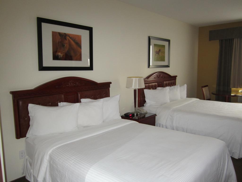 Trend Mountain Hotel & Conference Centre Tumbler Ridge Стая снимка